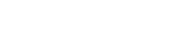 PragmaFlow